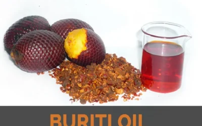 Buriti Yağı Nedir? Faydaları (Mauritia Flexuosa)