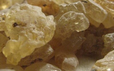 Copal Reçine Özellikleri, Faydaları