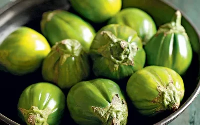 Jilo Kırmızı Patlıcan Nedir?