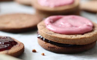 Belgian Biscuits Özelliği Nedir? Tarifi (Belçika Bisküvisi)