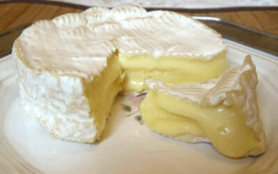 Camembert Peyniri Tadı Nasıl?