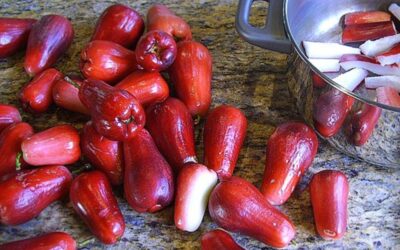 Mountain Apple (Dağ Elması) Meyvesi Özellikleri