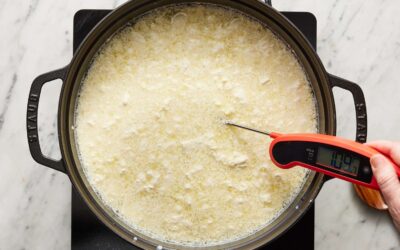 Mozzarella Peyniri Tarifi, Faydaları