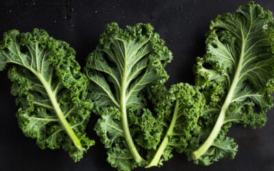 Oksalat Hassasiyeti: Sağlıklı Beslenmek İyi Hissettirmiyor mu?