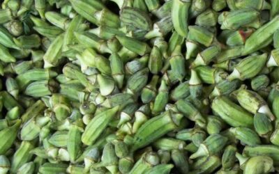 Sudan Bamya Nedir? Özellikleri ve Faydaları