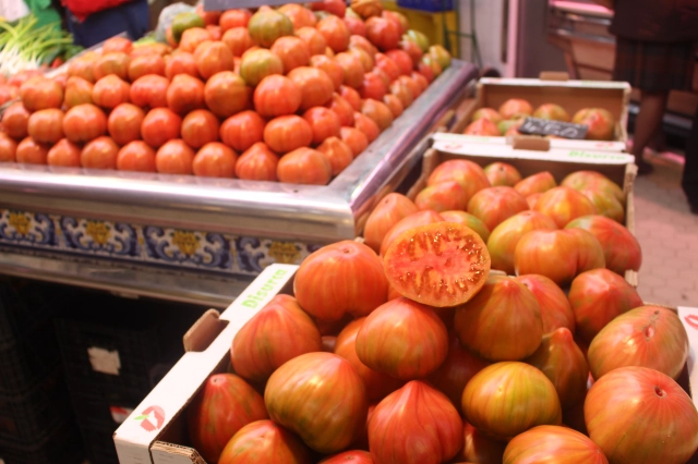 Valensiya Domatesi (Valencian Tomato) Nedir? Özellikleri