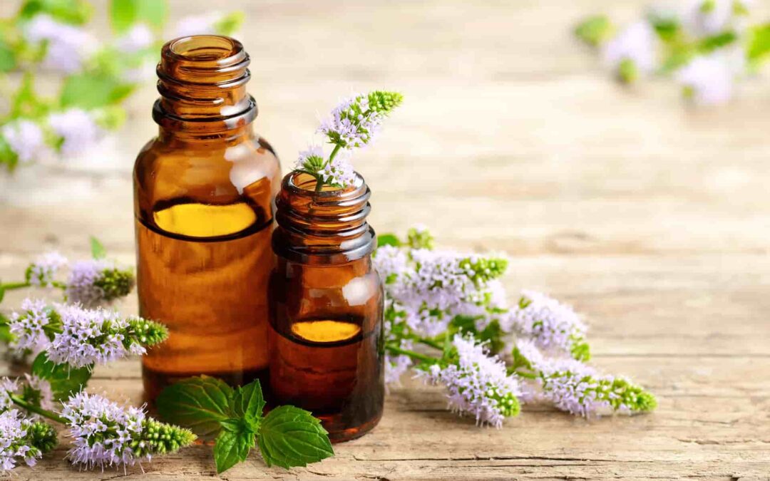 Çin Yağı Ne İşe Yarar? Çin Yağı Kremi Nasıl Yapılır?