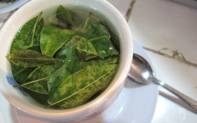 Koka Ağacı Nedir? Koka Yaprağı Yasal mı?