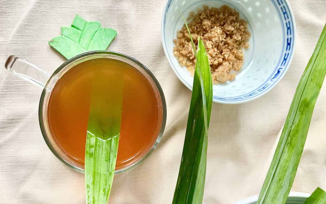 pandan çayı nedir