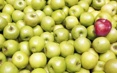 Paradoksal Düşünme Nedir? Paradoksal Düşünme Teknikleri