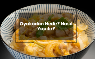 Oyakodon Nedir? Nasıl Yapılır?