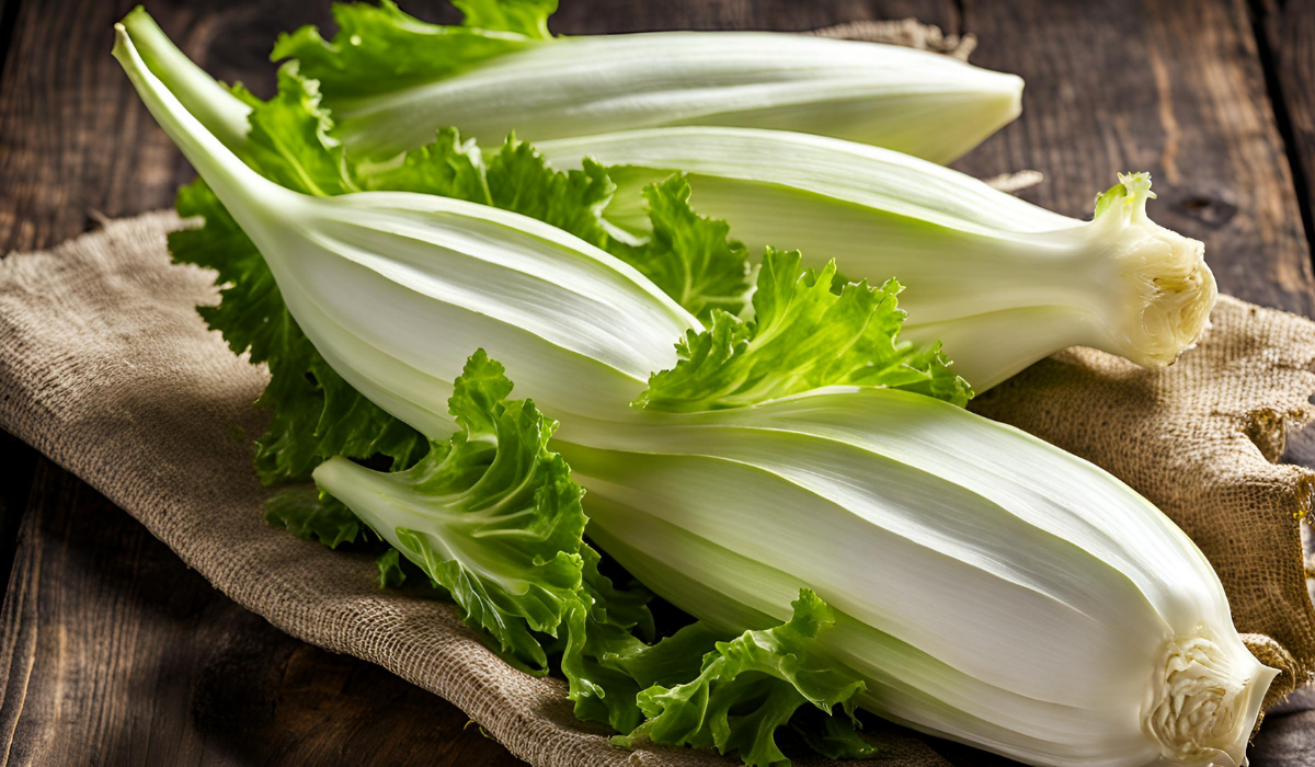 endive nedir