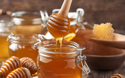 Bal Pişirilirse Ne Olur? Zararlı Mıdır?