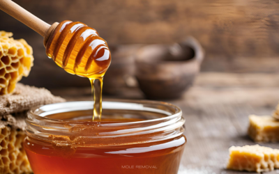 Fırıncılık Balı Nedir? Özellikleri ve Kullanım Alanları