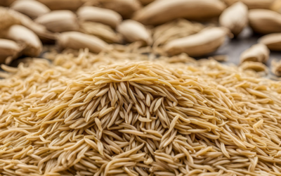 İspaghol Chilka Nedir?