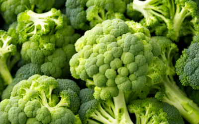 Sararan Brokoli Yenir Mi? Zararlı mı?