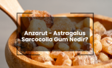 Anzarut - Astragalus Sarcocolla Gum