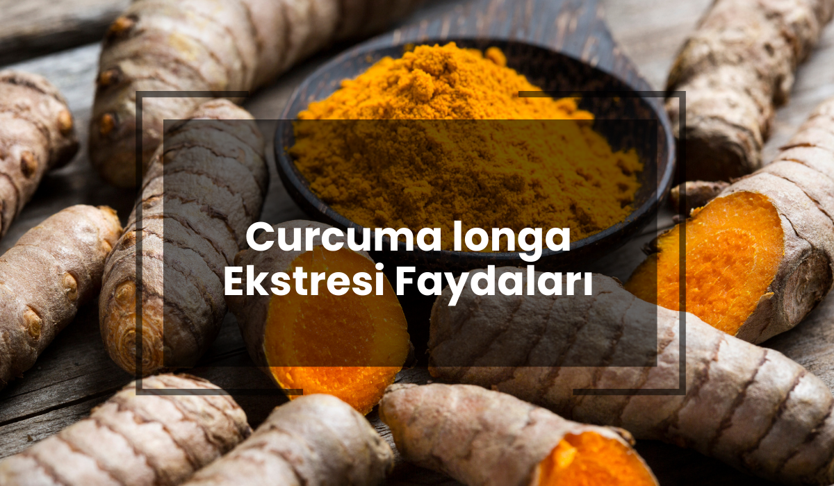 Curcuma longa Ekstresi