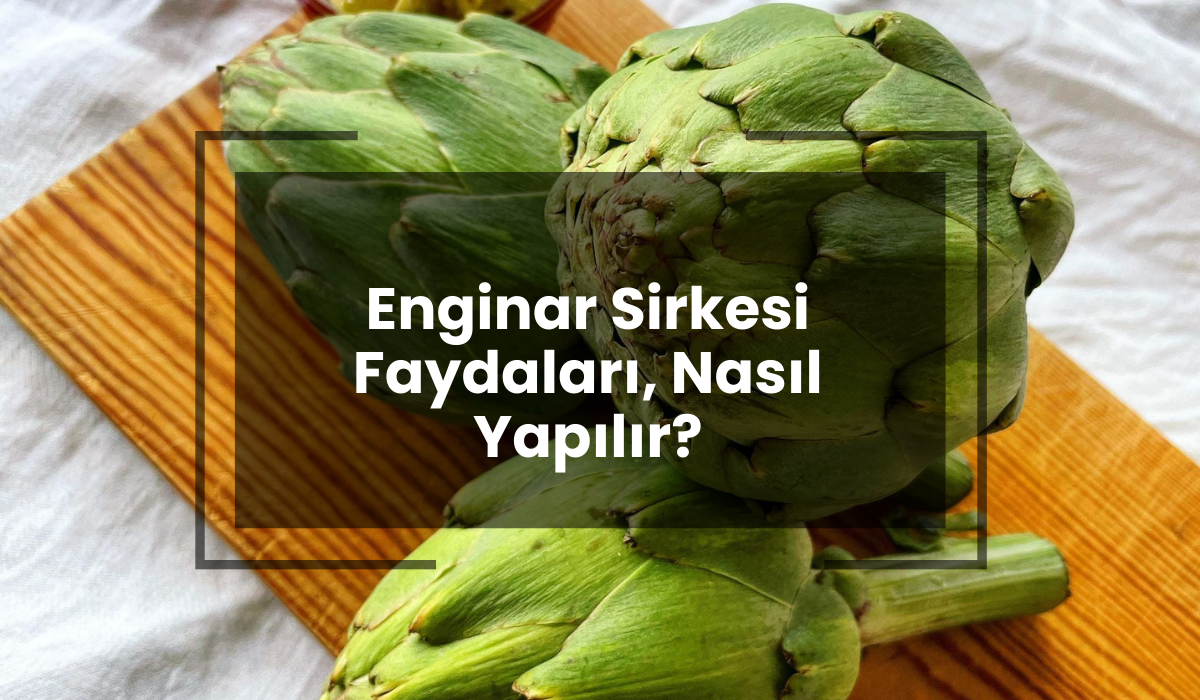 Enginar Sirkesi Nasıl Yapılır? Enginar Sirkesi Tarifi