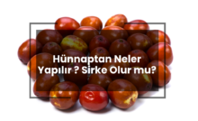 Hünnaptan Neler Yapılır? Sirke Olur mu?