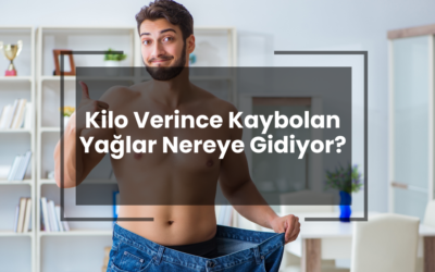 Kilo Verince Kaybolan Yağlar Nereye Gidiyor?