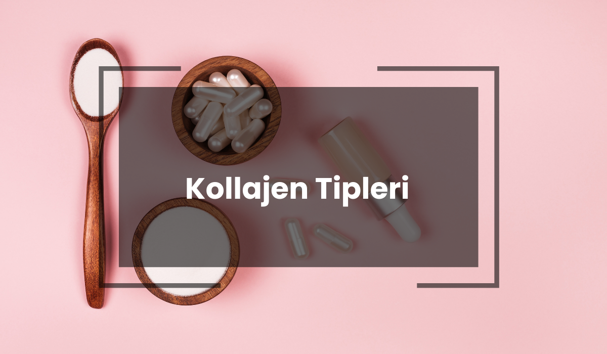 Kollajen Tipleri