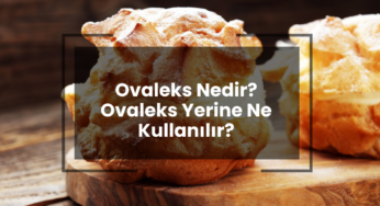 Ovaleks Nedir? Ovaleks Yerine Ne Kullanılır?