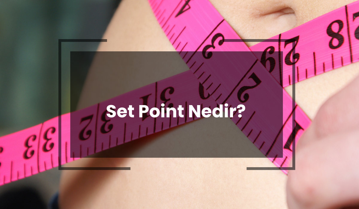 Set Point Nedir