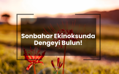 Sonbahar Ekinoksunda Dengeyi Bulun!