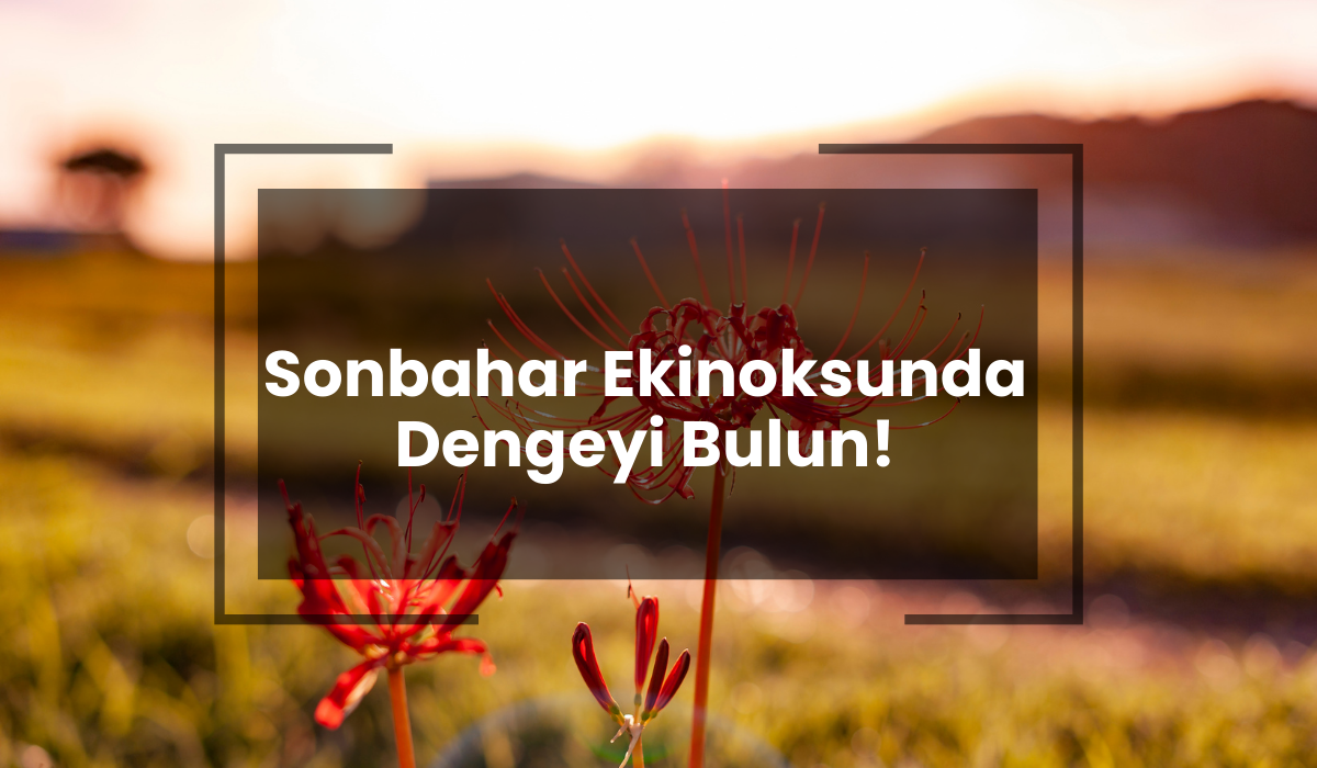 Sonbahar Ekinoksunda Dengeyi Bulun!