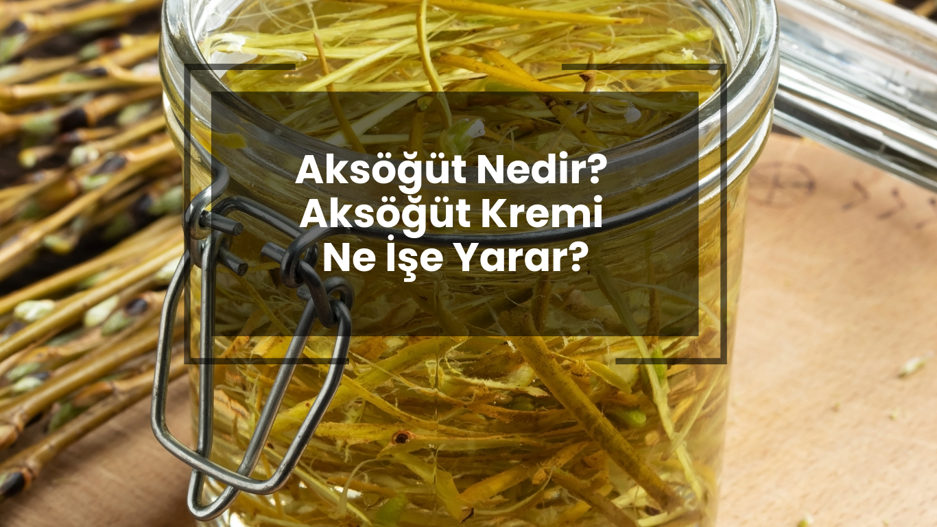 Aksöğüt Nedir? Ne İşe Yarar?