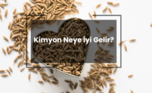 Kimyon Neye İyi Gelir?