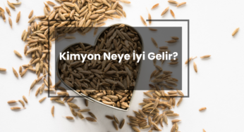 Kimyon Neye İyi Gelir?