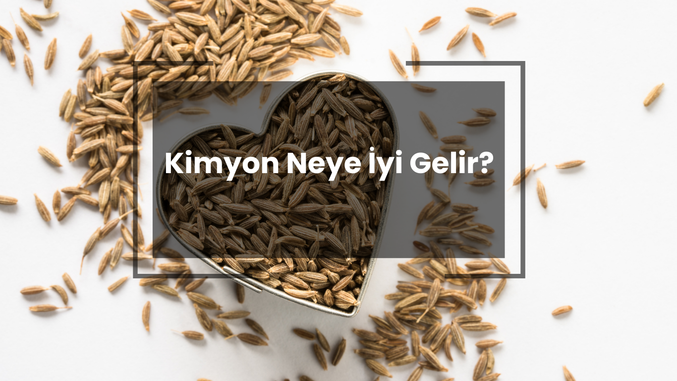 Kimyon Neye İyi Gelir?