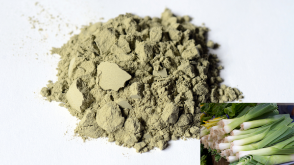 Pırasa Kurusu tozu Katkısız & Koruyucusuz Leek Powder