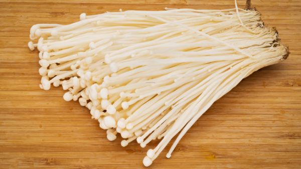 Enoki Mantarı