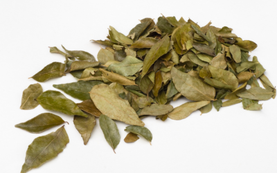 Köri Yaprağı Nasıl Kullanılır?