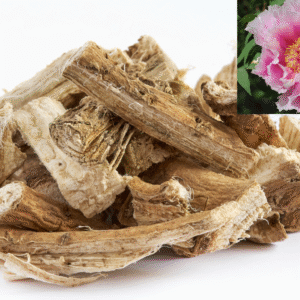 şakayık kökü Paeonia root