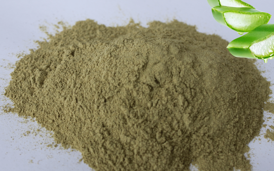 Aloe Vera Tozu 50 gr (Aloe Barbadensis)