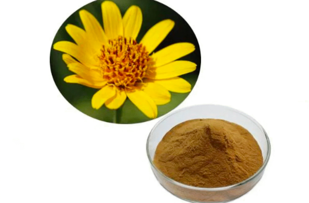 Arnica Montana Tozu 50 gr