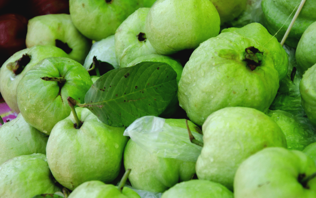 Guava Meyvesi Tozu 50 gr Katkısız