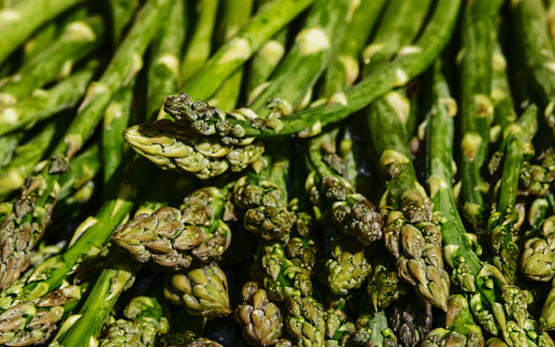 Kuşkonmaz Tozu 25 gr Katkısız