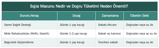 Sığla Macunu Nedir ve Doğru Tüketimi Neden Önemli? — Sığla Macunu Nasıl Tüketilir? Doğru Dozaj ve Zamanlama