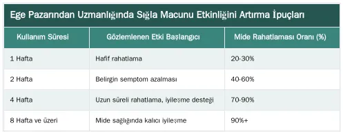 Ege Pazarından Uzmanlığında Sığla Macunu Etkinliğini Artırma İpuçları — Sığla Macunu Sabah mı Akşam mı Kullanılmalı? Etkinliğini Artıran İpuçları