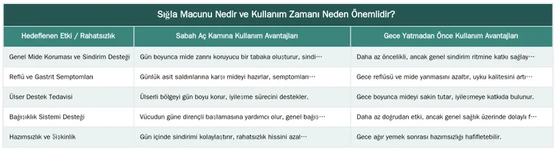 Sığla Macunu Nedir ve Kullanım Zamanı Neden Önemlidir? — Sığla Macunu Sabah mı Akşam mı Kullanılmalı? Etkinliğini Artıran İpuçları