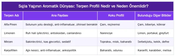 Sığla Yağının Aromatik Dünyası: Terpen Profili Nedir ve Neden Önemlidir? — Sığla Yağı Terpen Profili ve Aromaterapik Faydaları