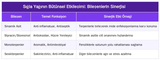 Sığla Yağının Bütünsel Etkileşimi: Bileşenlerin Sinerjisi — Sığla Yağının Kimyasal Bileşenleri: Şifalı Etkilerin Arkasındaki Bilim