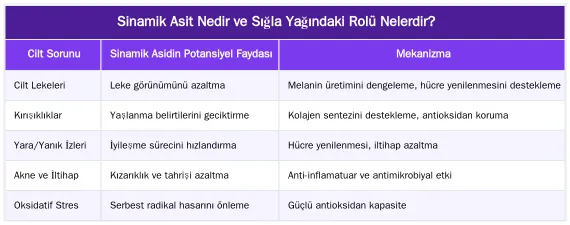 Sinamik Asit Nedir ve Sığla Yağındaki Rolü Nelerdir? — Sinamik Asit: Sığla Yağının Anti-inflamatuar Gücünün Kaynağı