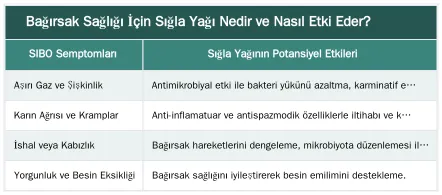 Bağırsak Sağlığı İçin Sığla Yağı Nedir ve Nasıl Etki Eder? — Bağırsak Sağlığı İçin Sığla Yağı: IBS ve SIBO Üzerindeki Etkileri