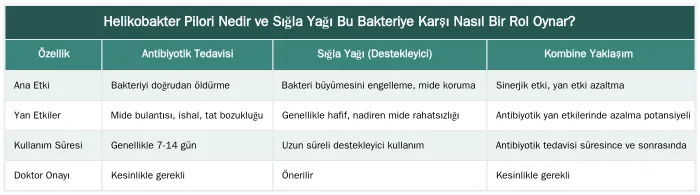 Helikobakter Pilori Nedir ve Sığla Yağı Bu Bakteriye Karşı Nasıl Bir Rol Oynar? — Helikobakter Pilori (H. Pylori) Varlığında Sığla Yağı Kullanımı Güvenli mi?